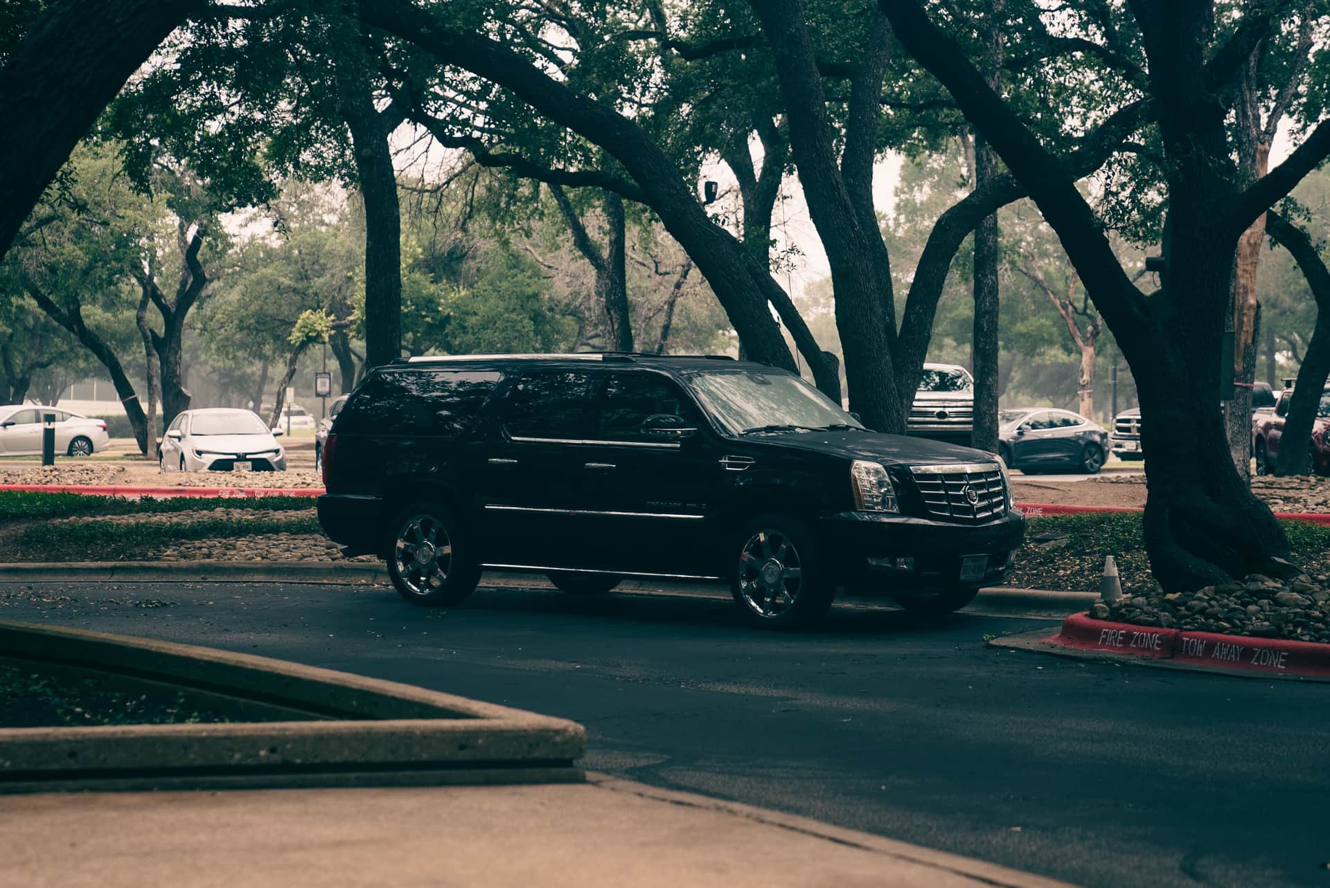 A black Cadillac Escalade SUV from an earlier generation, parked under trees